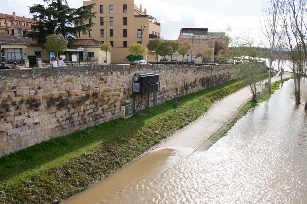 Crecida del río Duero