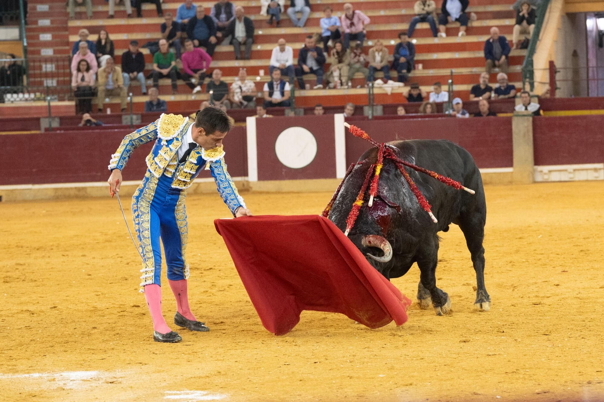 Concurso de ganaderías de la Feria del Pilar