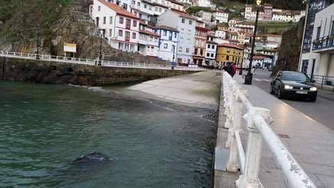 Un coche cae al agua en Cudillero