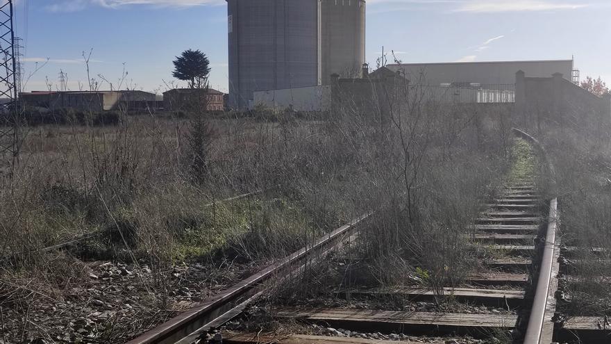 IU reclama la inclusión de Benavente en el trazado del ferrocarril Ruta de la Plata