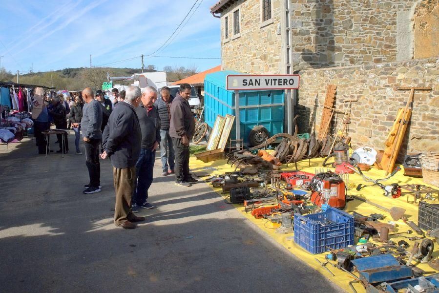 Feria del burro en San Vitero y romería