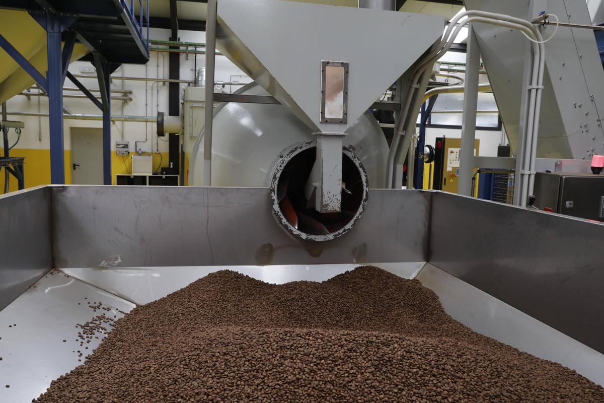 Granos de café en una de las máquinas de El Globo