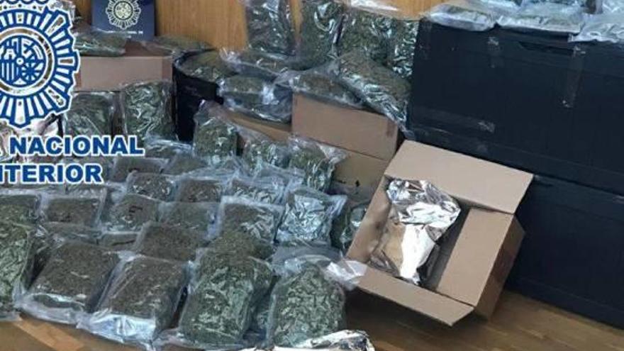 Parte de la marihuana incautada por los agentes de la Comisaría ilicitana.