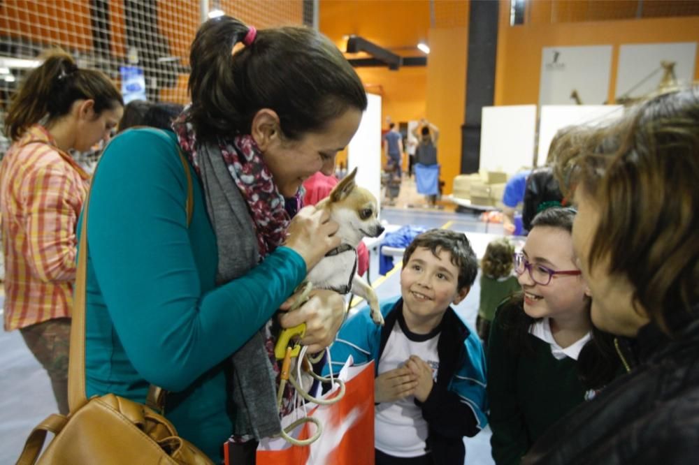 Entrega de dorsales de la Carrera de la Mujer