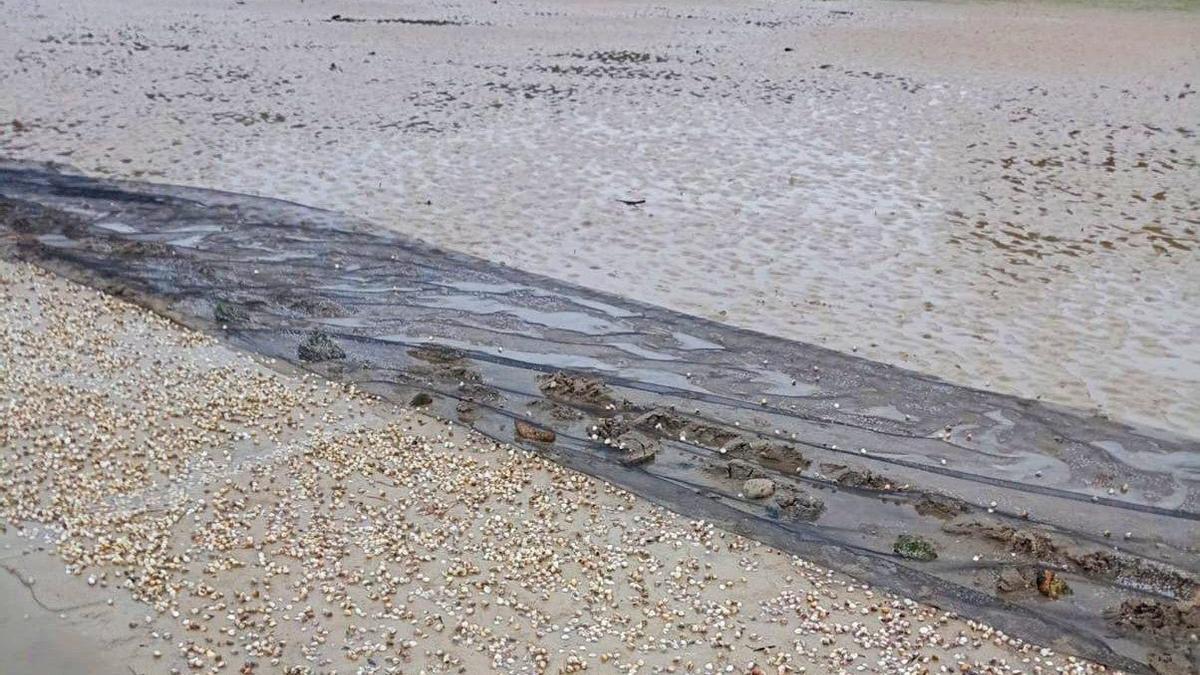 El sistema de siembra en red no está dando los resultados esperados.