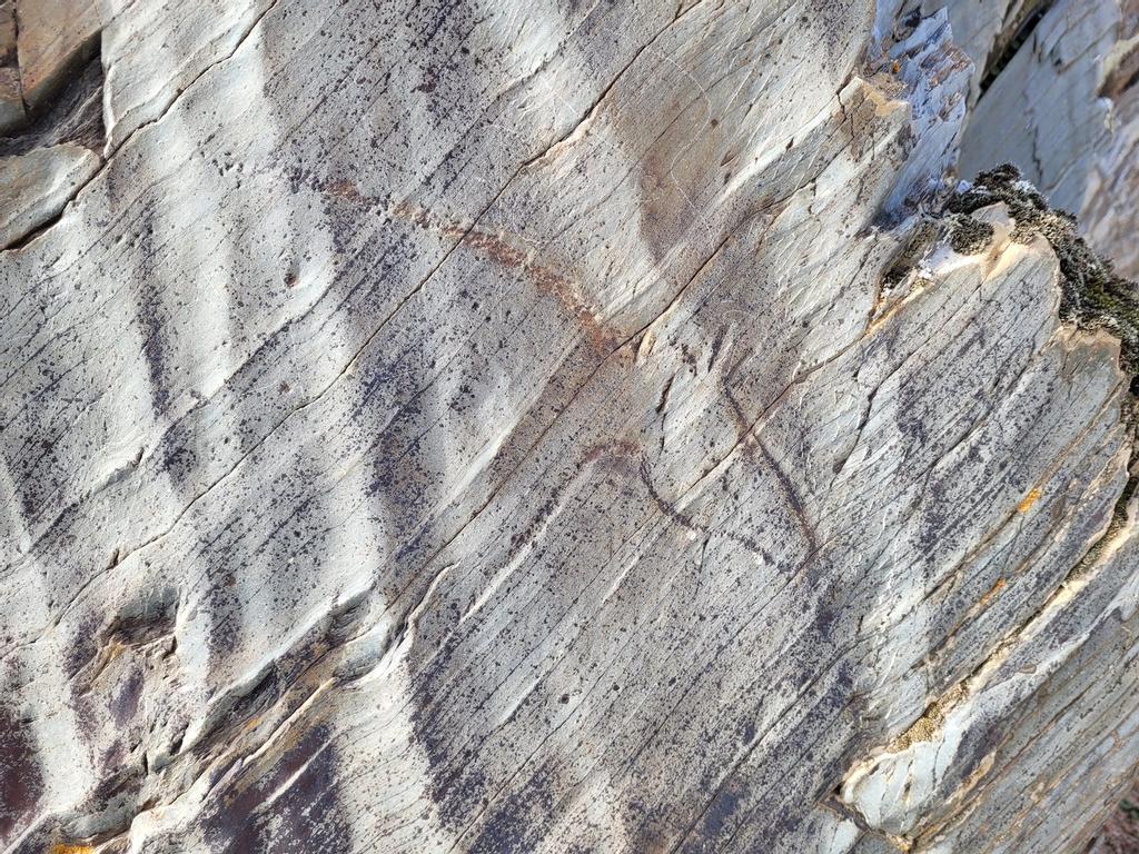 Grabado sobre la roca en Siega Verde 