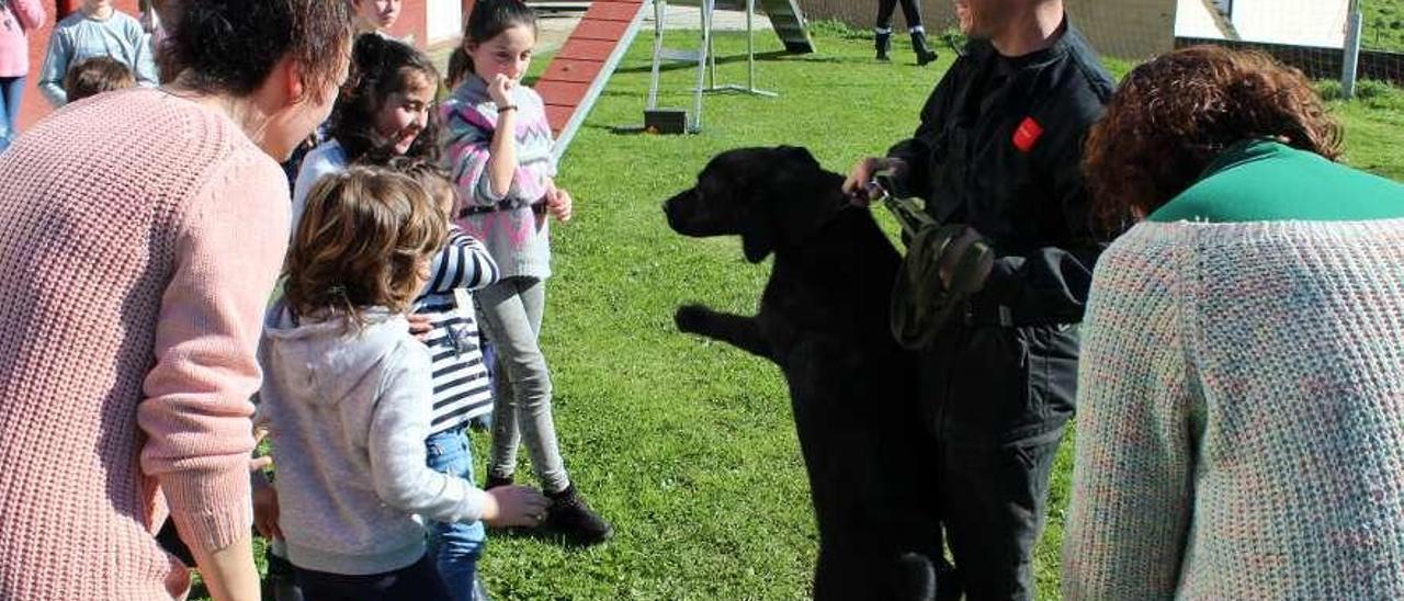 Los niños tratan de acariciar al cachorro de labrador de la unidad.