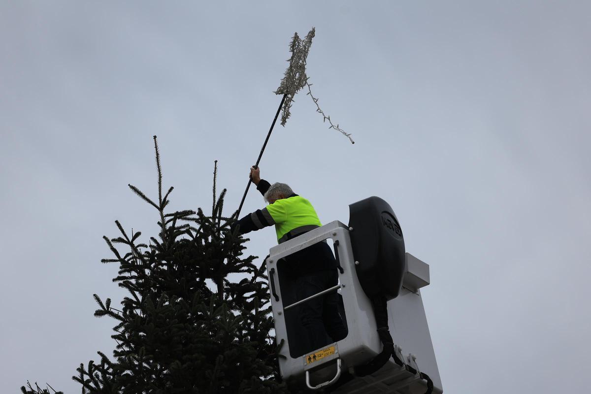 Fotogalería I Vila-real instala su árbol de Navidad más sostenible en la plaza de la Vila