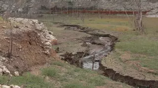 El Govern no descarta una gran dessalinitzadora a l’Empordà