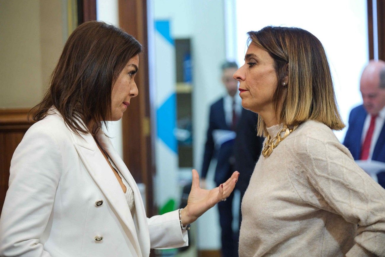 Pleno del Ayuntamiento de Santa Cruz de Tenerife (26 de enero de 2024)