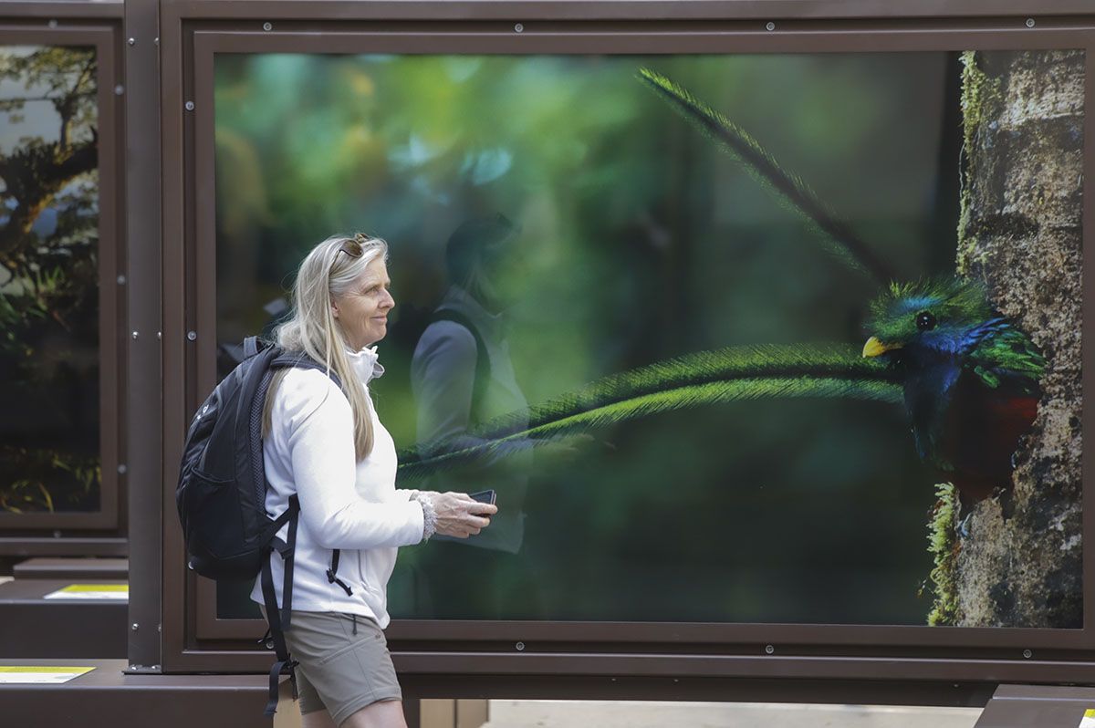 Las fotos de National Geographic en la Bienal de Córdoba