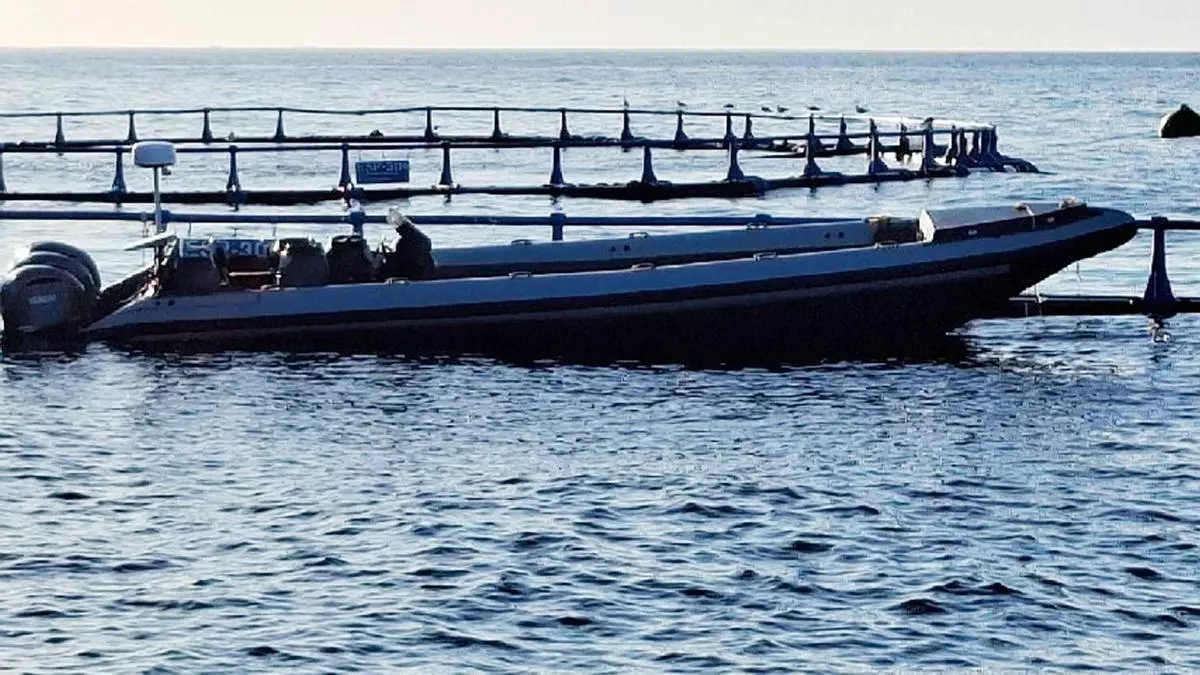 Persecución en el Mediterráneo por el robo de una embarcación