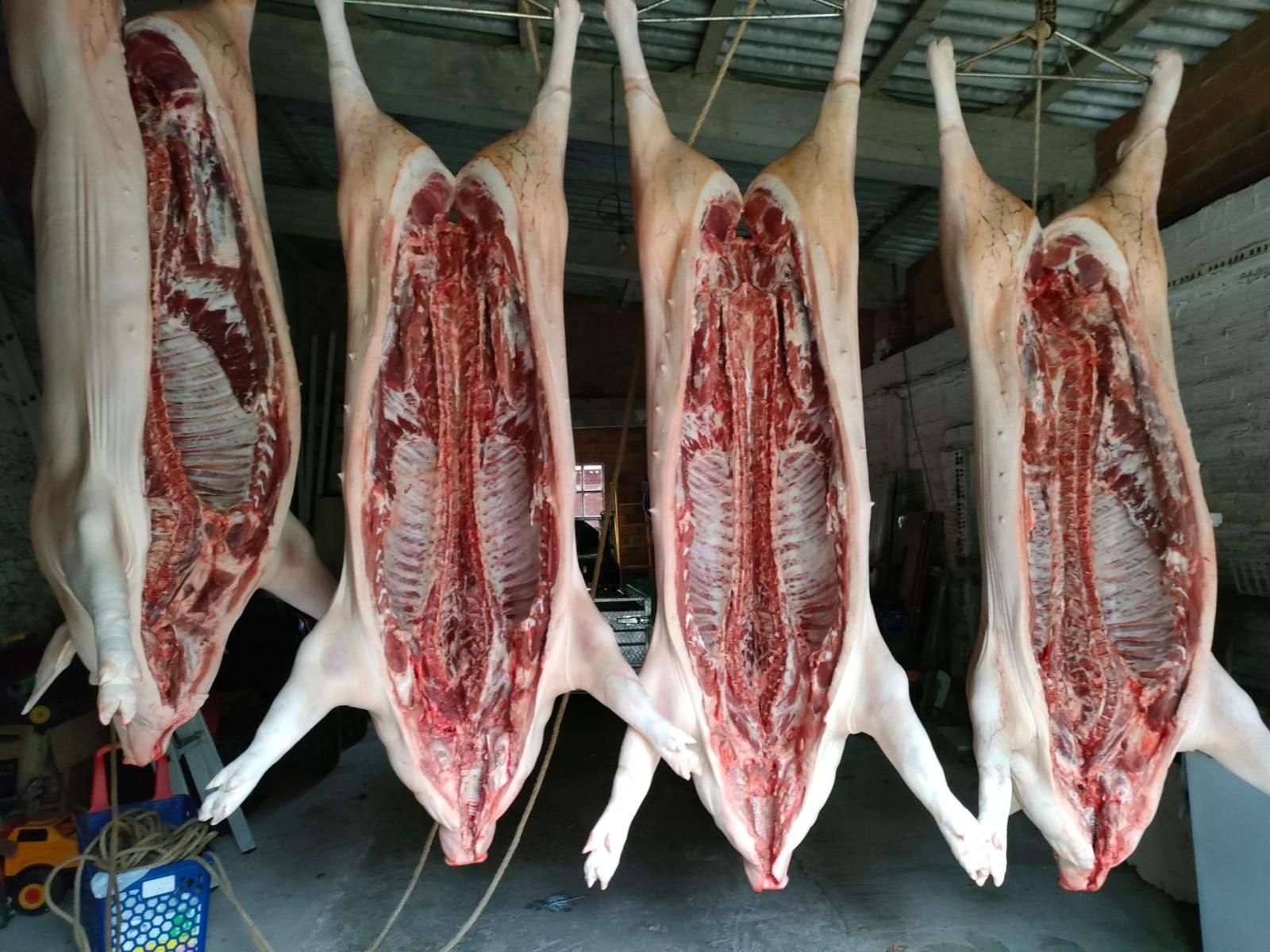 ¿De dónde sale cada parte del cerdo?