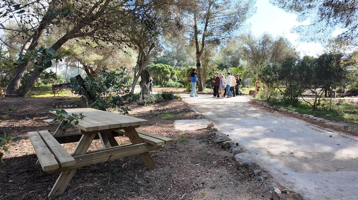 FOTOS | La zona verde de Bendinat, en imágenes FOTOS | La zona verde de Bendinat, en imágenes