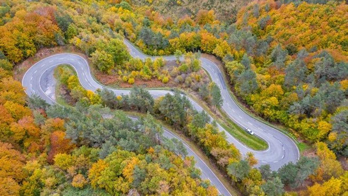 Carretera que atraviesa la Selva de Irati