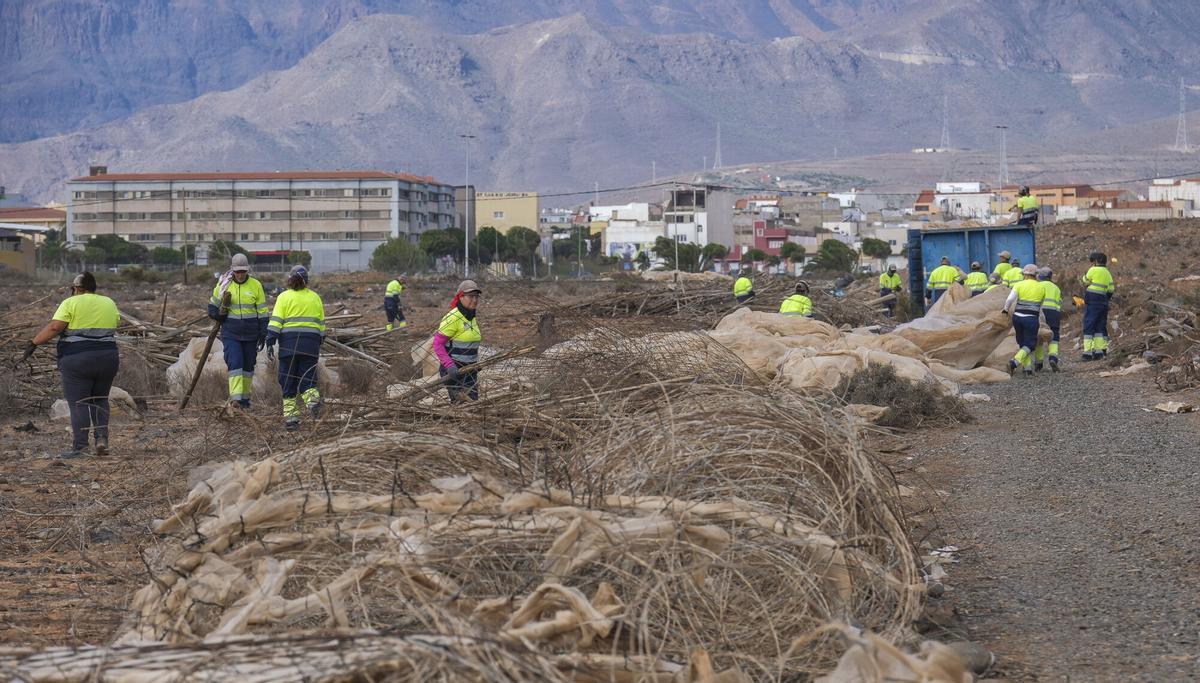 Retirada de invernaderos abandonados en el sureste de Gran Canaria