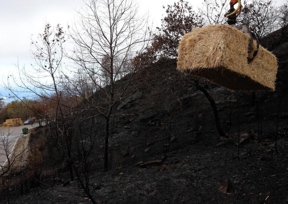 Incendios en Vigo | El Monte Alba y el Cepudo