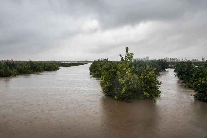 Los efectos de la borrasca Gloria en Valencia