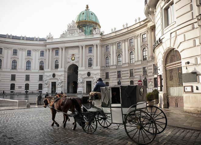 Carro de caballos frente al palacio de Hofburg