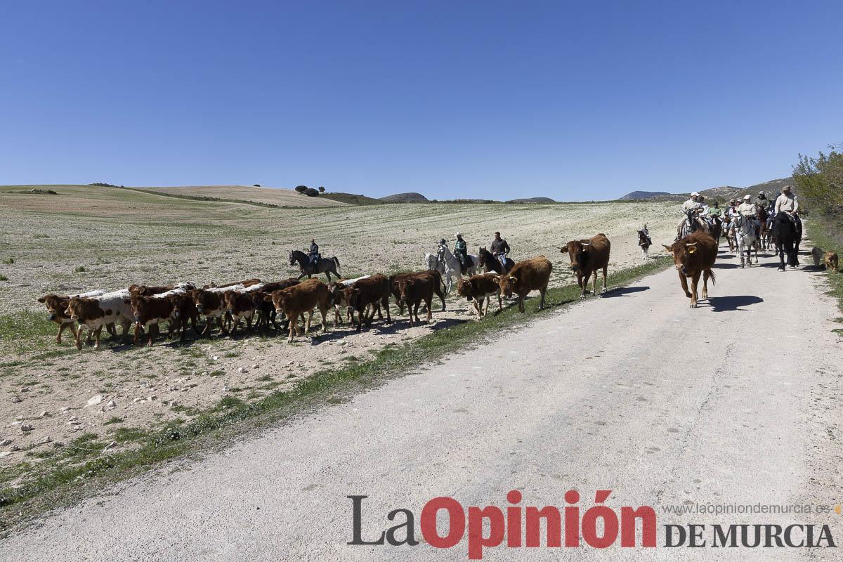 trashumancia/Ganadería La Junquera_009