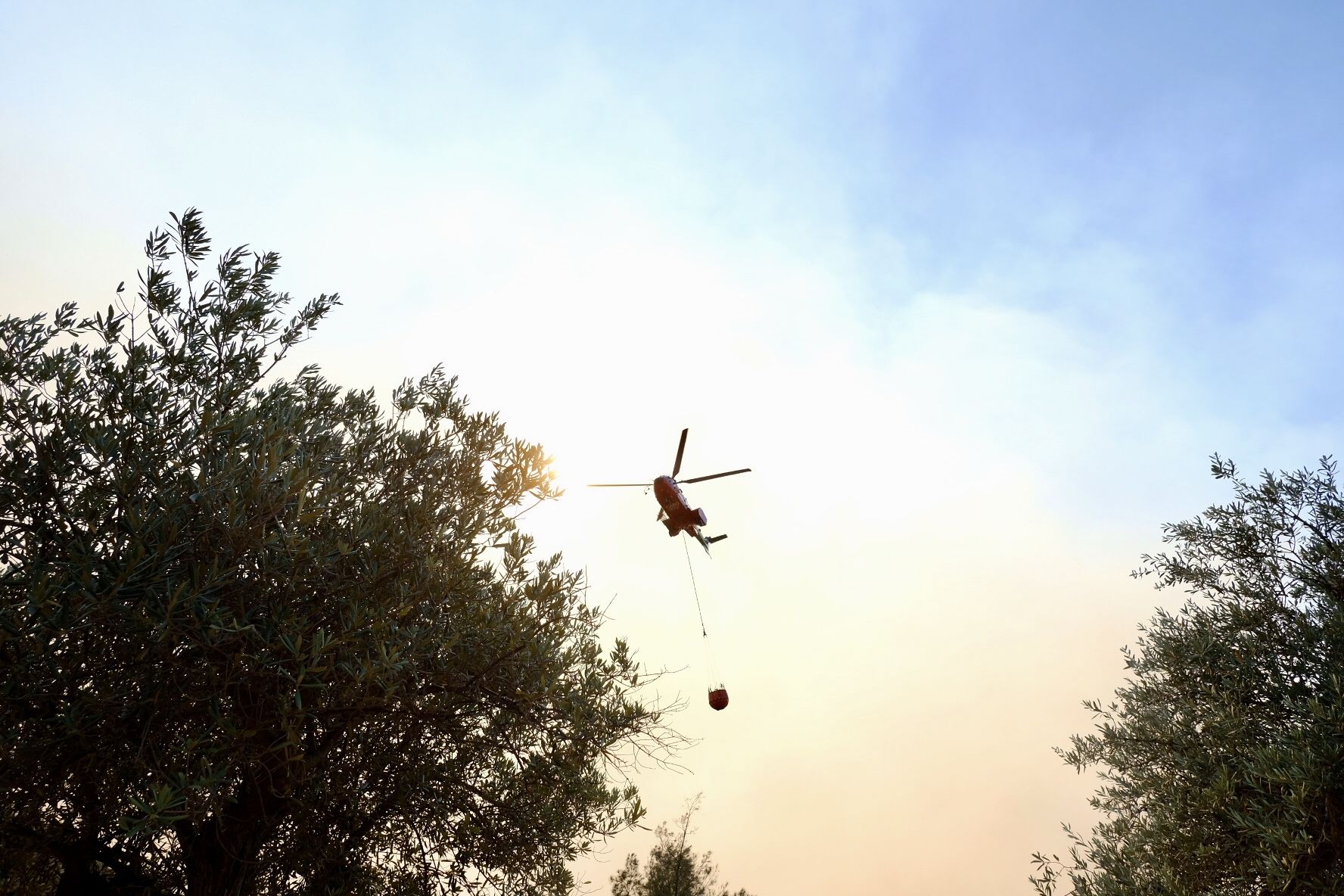 Declarado un incendio en la Sierra de Mijas