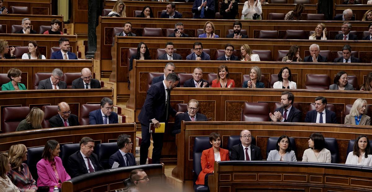 Santiago Abascal baja las escaleras del Congreso. José Luis Roca