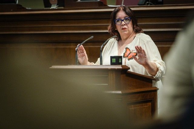 Segunda jornada del pleno en el Parlamento de Canarias, 27/04/2022