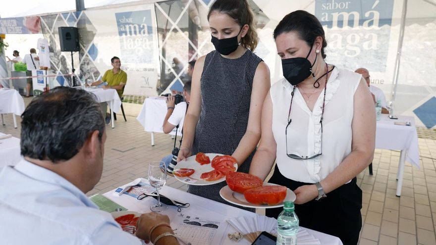 El “Mejor Tomate Huevo de Toro 2021” se vende a 1.550 euros