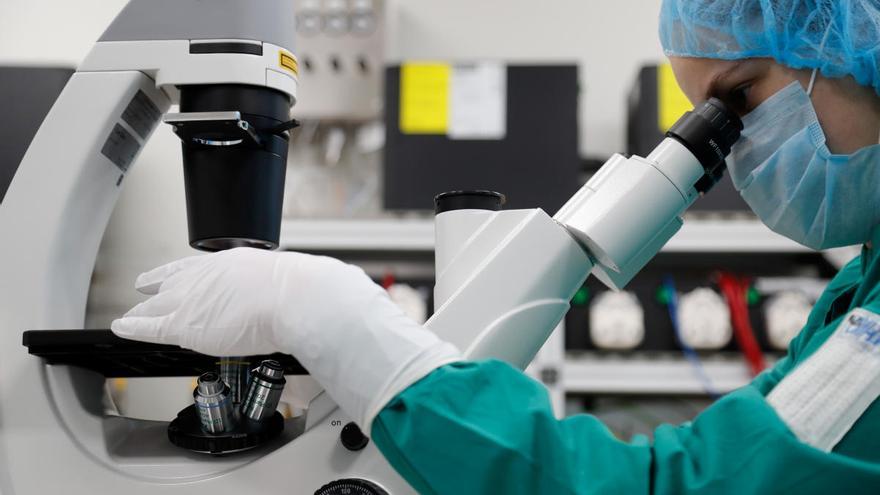 Investigadores se afanan en desarrollar una vacuna.