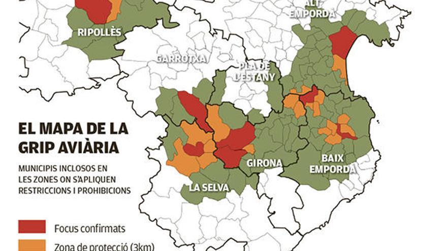 Cent pobles de Girona coven la grip de les aus