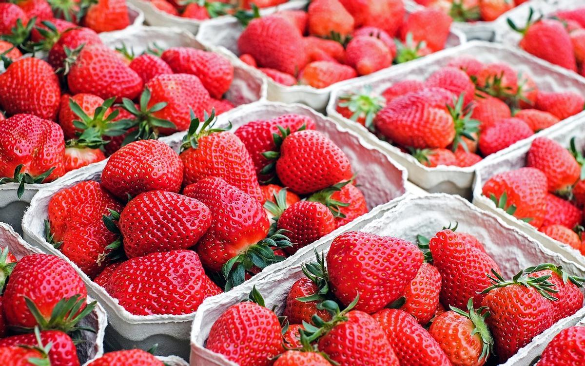 Los beneficios de las fresas