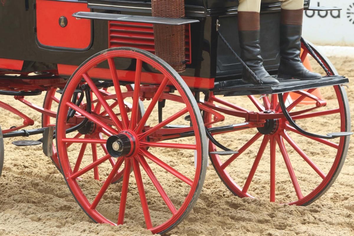 Concurso de atalaje de tradición en Cabalcor