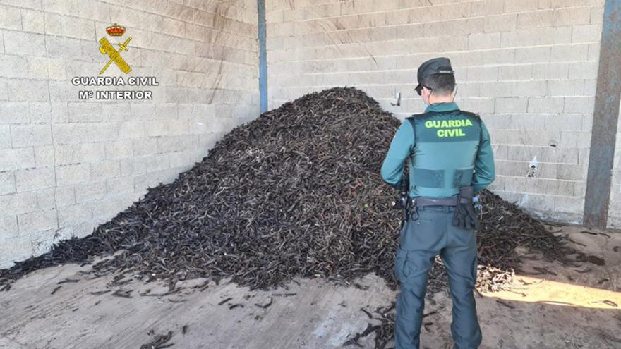 Un guardia civil examina un cargamento de algarrobas.