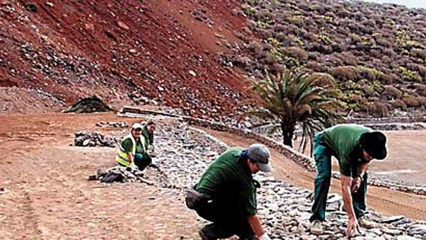 Empleados en las parcelas y cuartos de Los Aromeros.  LUIS DEL ROSARIO