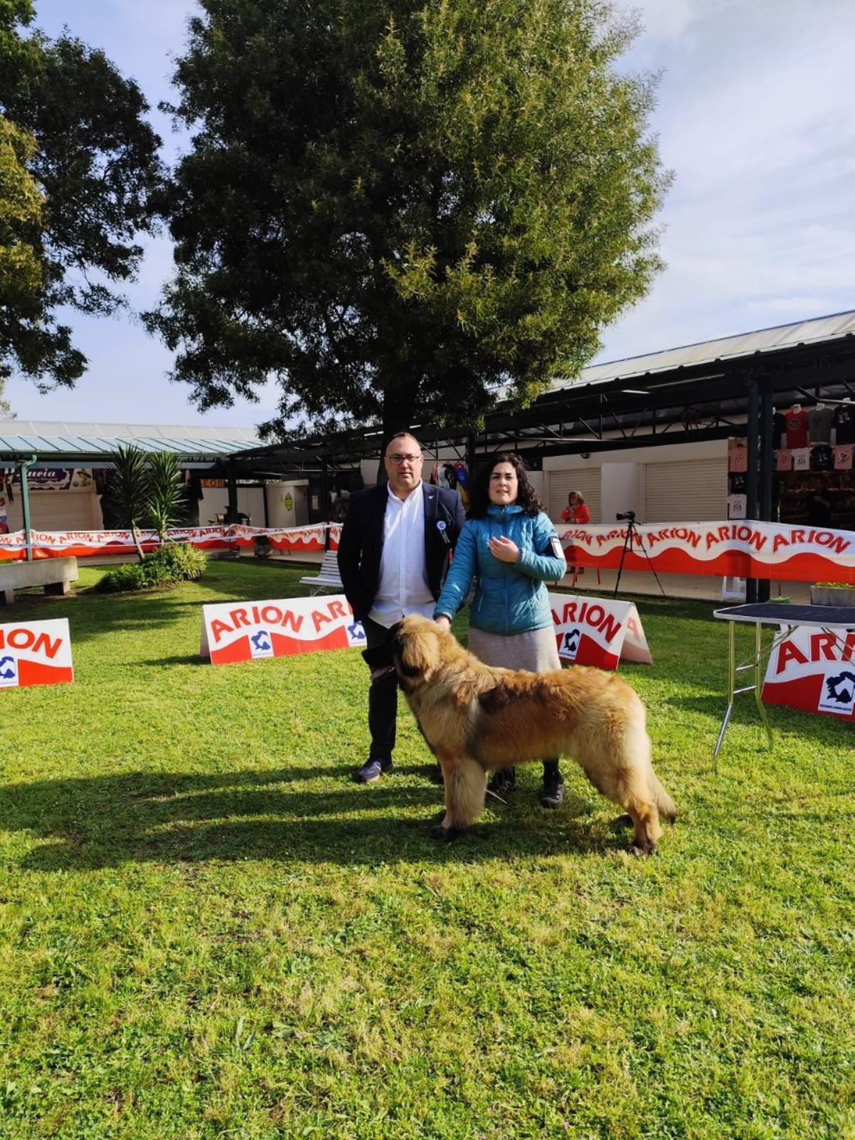 Asistentes al Campeonato Nacional Canino de la isla de A Toxa.