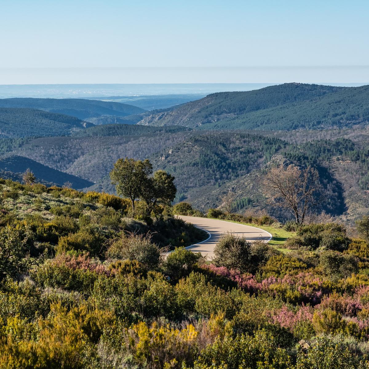 Sierra norte de Guadalajara