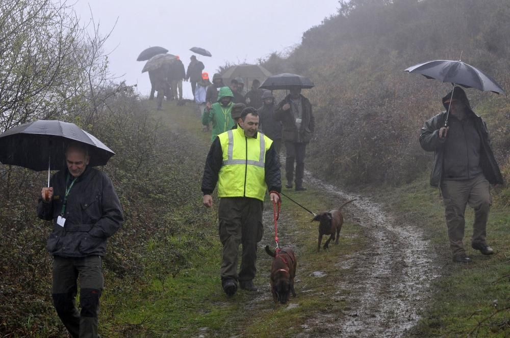 Curso de rastreo con perros de sangre