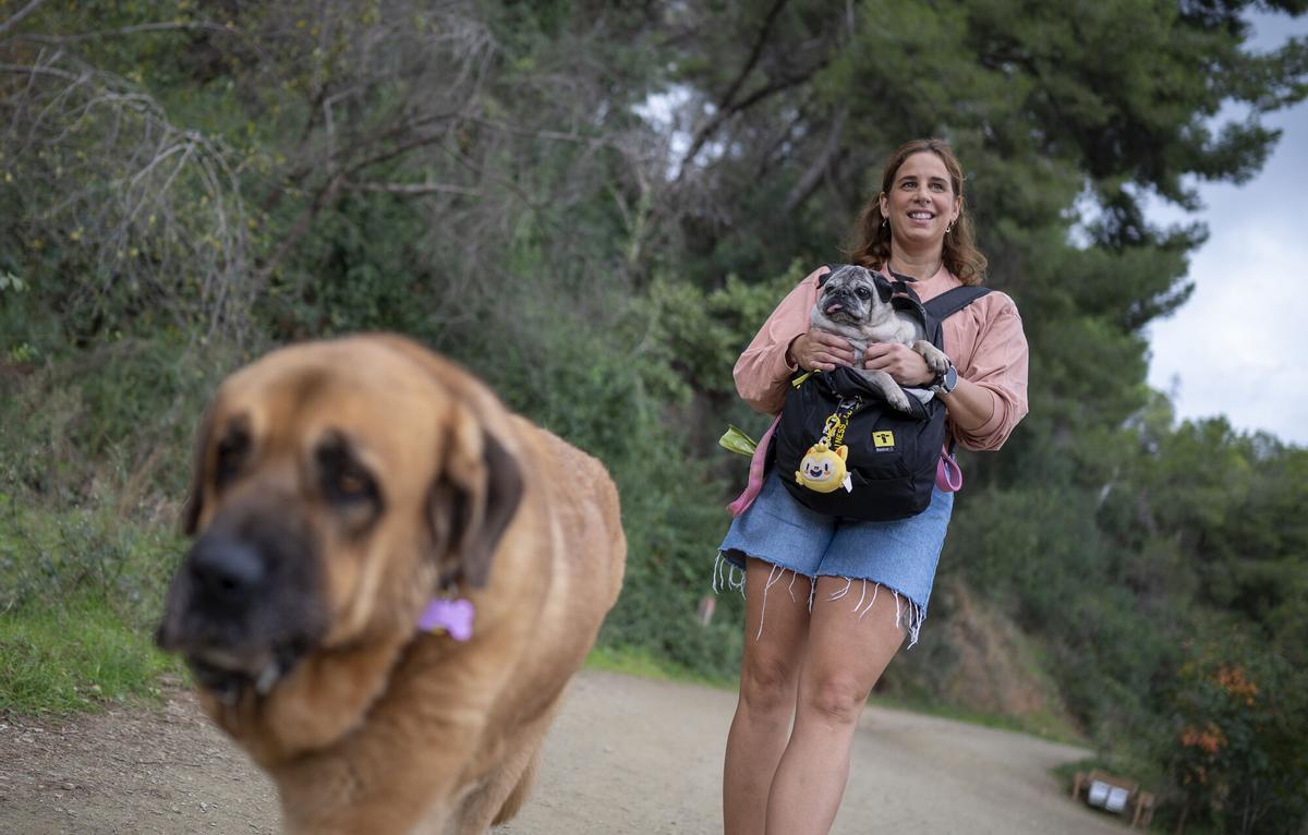 Erika Villaécija pasea por Collserola junto a sus mascotas Koa y Perla.