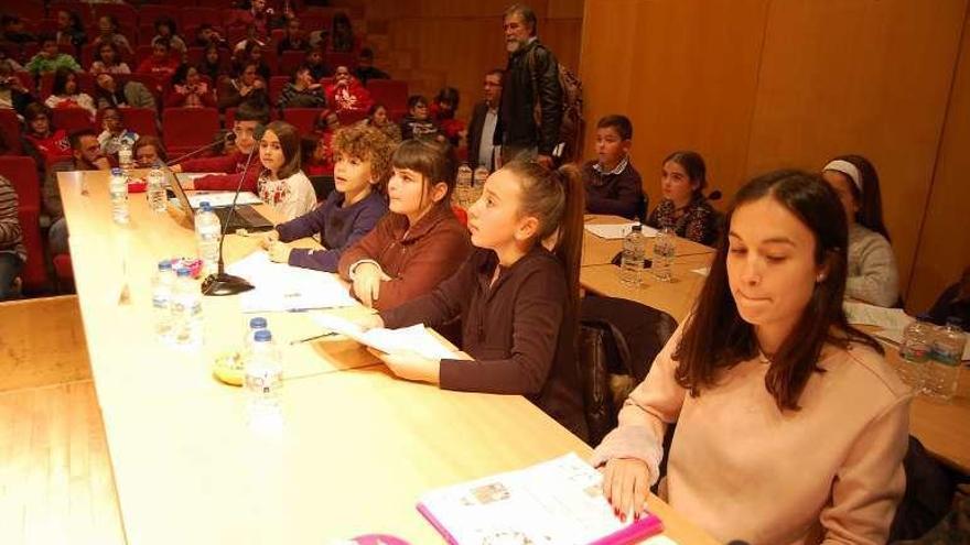 Los alumnos de los centros escolares, durante el pleno infantil. // FdV