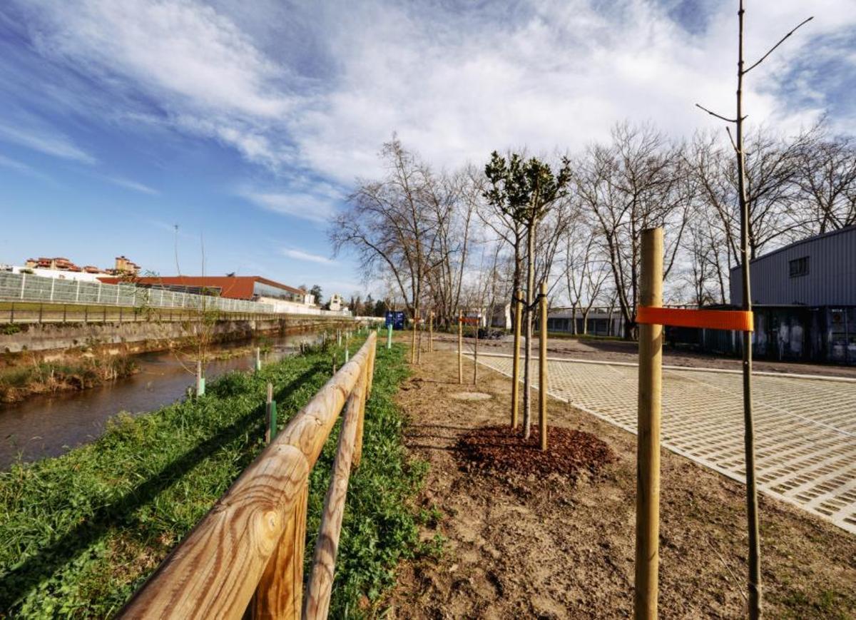 Detalle de plantaciones