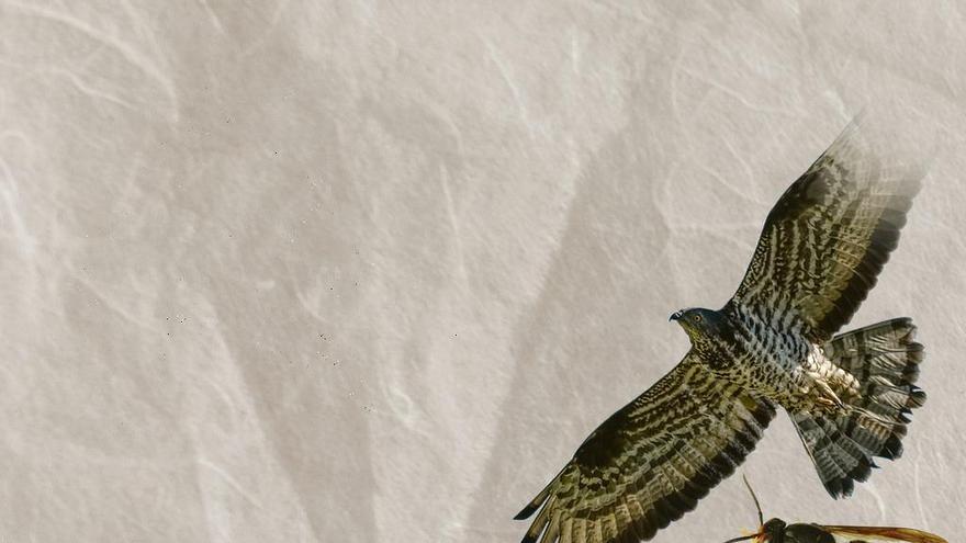 Guerra biológica: los enemigos de las especies invasoras