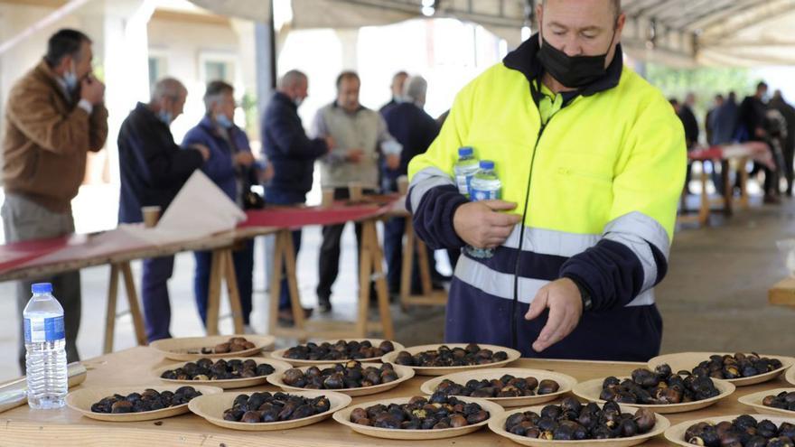 Vila de Cruces recupera la Feira da Castaña con una concurrida degustación | FOTOS: BERNABÉ/JAVIER LALÍN