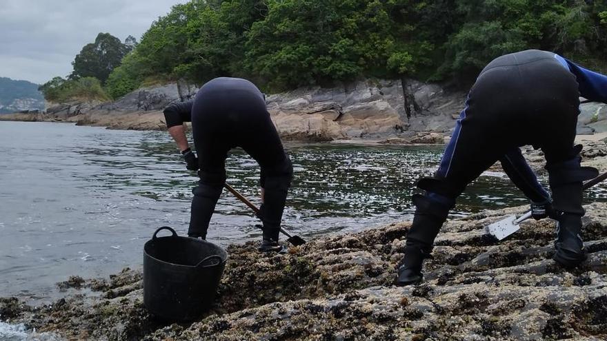 Muxía se ofrece a la Consellería do Mar como lugar para negociar el conflicto de la mejilla