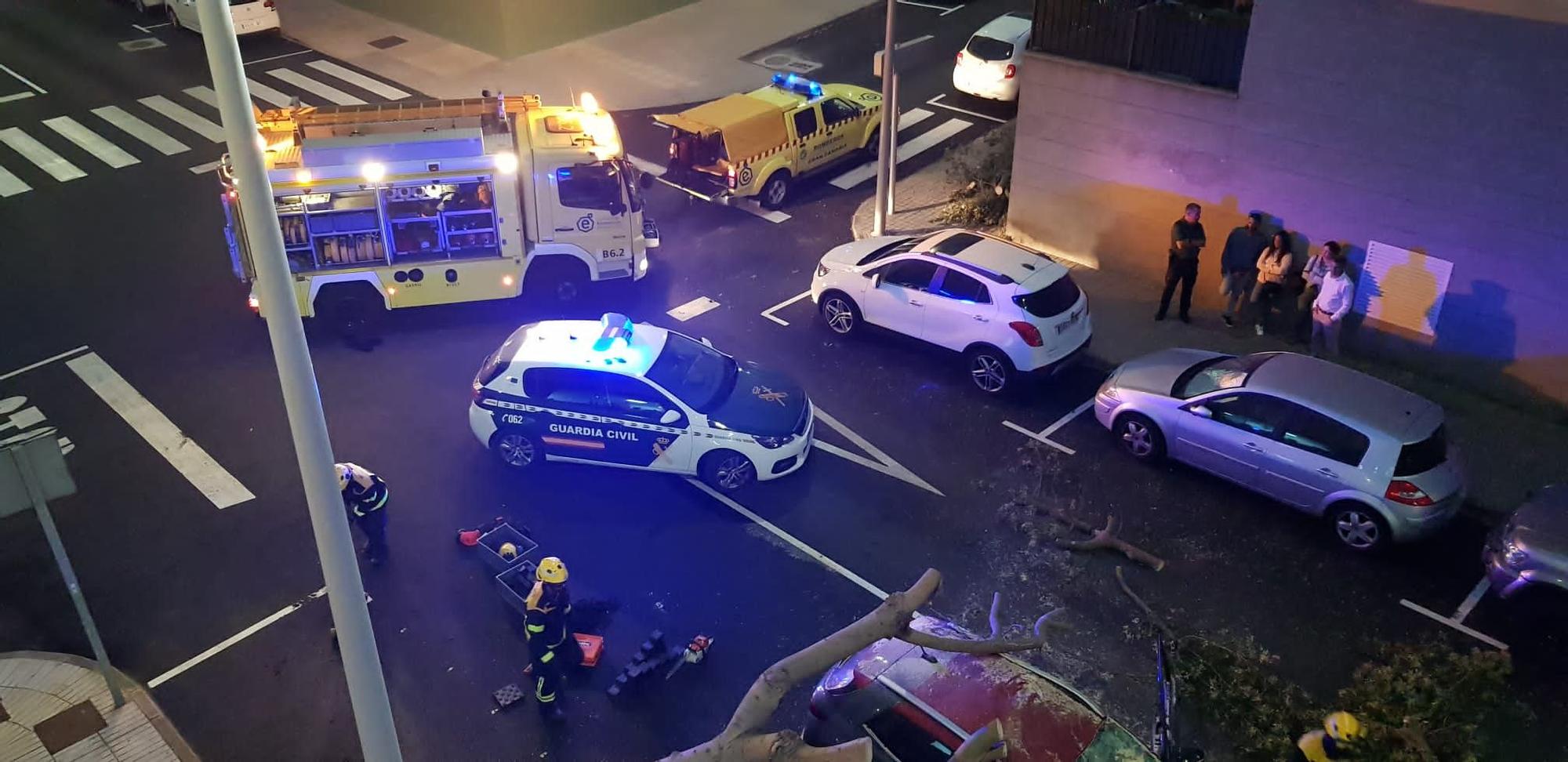 Las fotos de la caída de un árbol encima de un coche en Guía