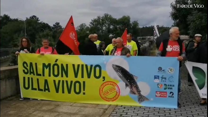 La pesca del salmón en Pontevea