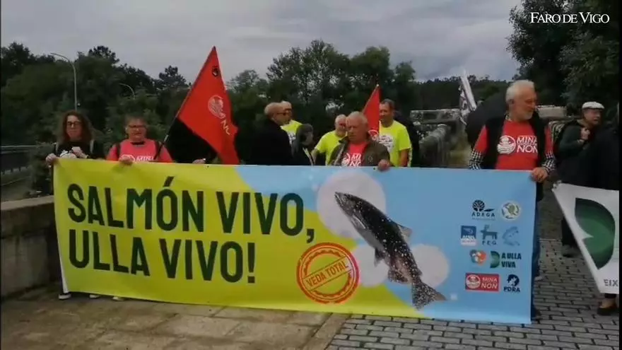 La pesca del salmón en Pontevea