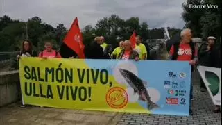 Ecologistas reclaman la suspensión de la pesca del salmón en el Ulla ante su declive del 80%
