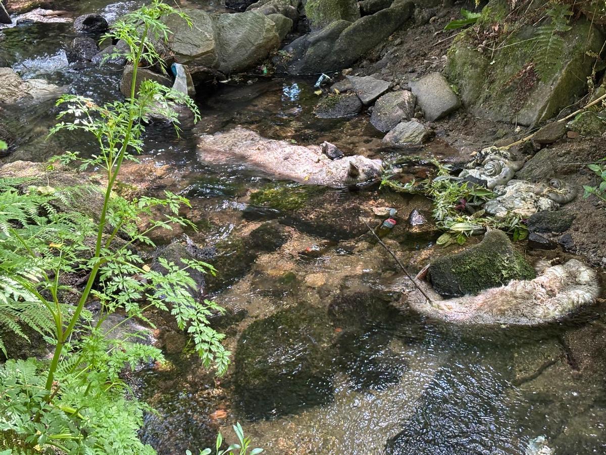 Las ovejas aparecieron muertas en el Regato do Vilar, en Santiago