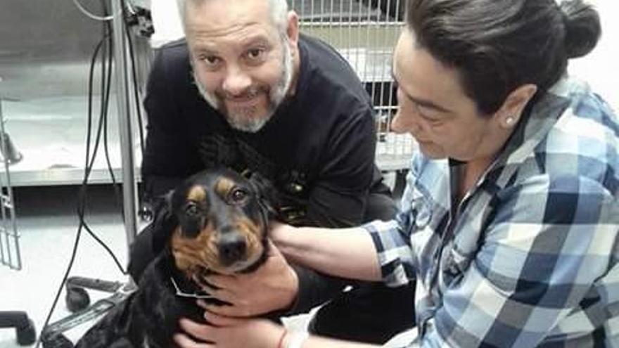 Una familia salva la vida  de su perra gracias a los donativos de los internautas