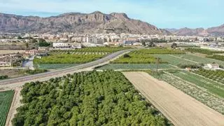 El pleno de Orihuela aprueba el primer paso para construir la Ciudad Deportiva